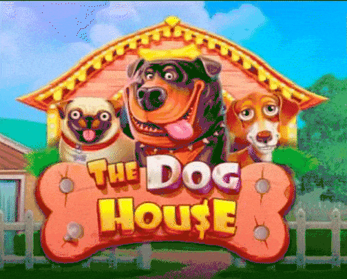 The Dog House bei Need For Slots
